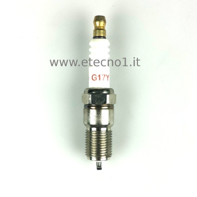 Spark Plug